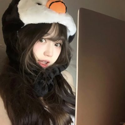 公园里的石头