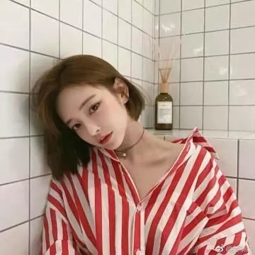 骆驼献舞